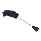 Satin Blindfold And Feather Tickler Whip